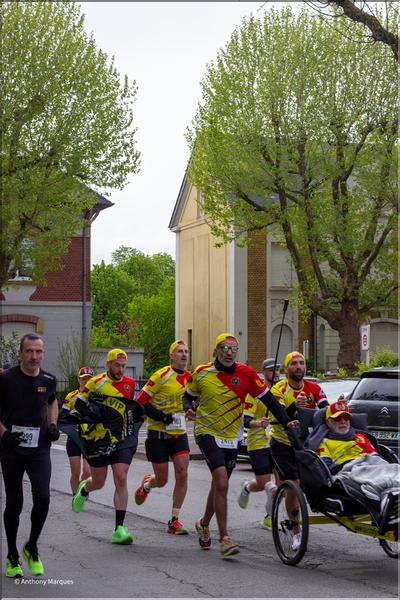 P_MP-233